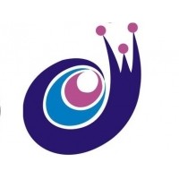 CMS