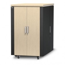 Защищенный звукоизолированный шкаф NetShelter CX 24U APC AR4024IA